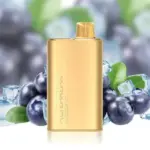 Alibarbar Rich 8000 Puffs - Blueberry Ice