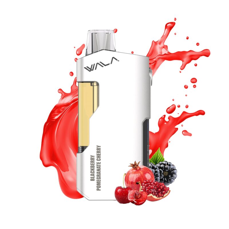 sportage tees - Expert Guide and Review