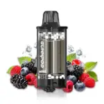 FROZEN FOREST BERRY V POD ONLY 8000 PUFFS