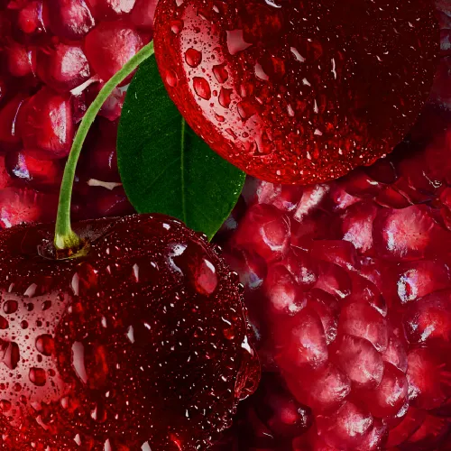 iget bar pro flavours - Expert Guide and Review