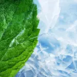 cannington smoke shop - Expert Guide and Review