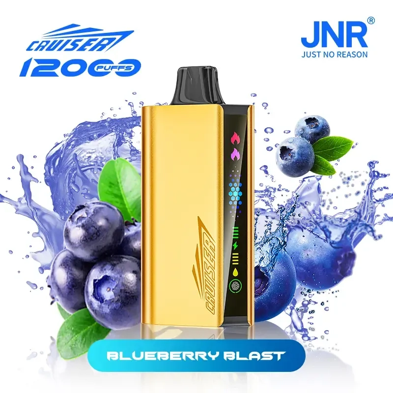 JNR Cruiser 12000 Puffs Blueberry Blast