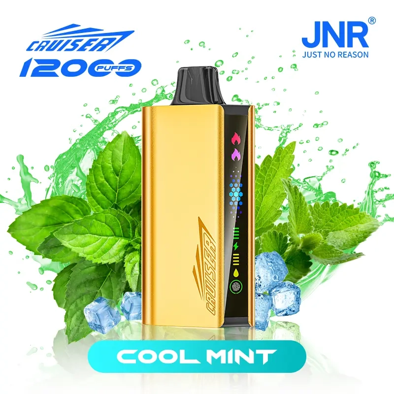 JNR Cruiser 12000 Puffs Cool Mint vape shop albury