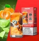 JNR Falcon 16000 Puffs 5 Packs (Ship from oversea) - Image 6