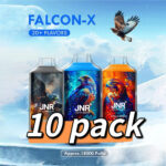JNR Falcon-X 18000 Puffs 10 Pack (Ship from oversea)